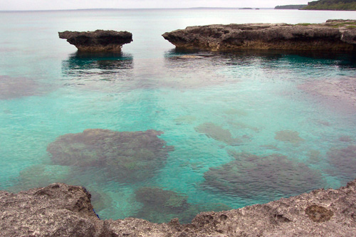 New Caledonia: Coral Reef Off Lifou Island