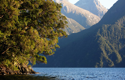 New Zealand: Milford Sound